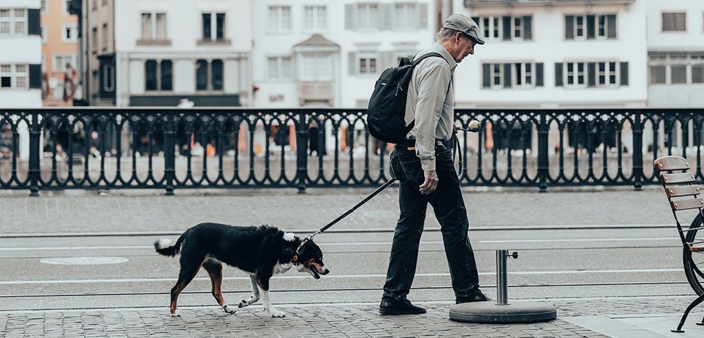 an old guy took his dog out for a walk