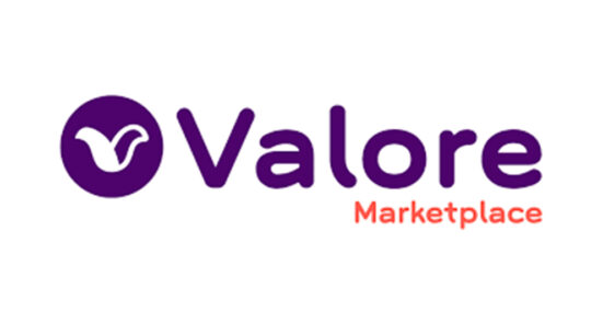 ValoreBooks logo