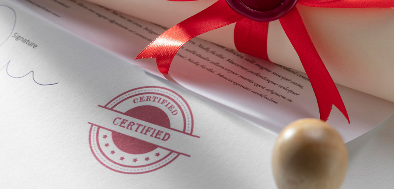 Closeup of a tutoring certificate