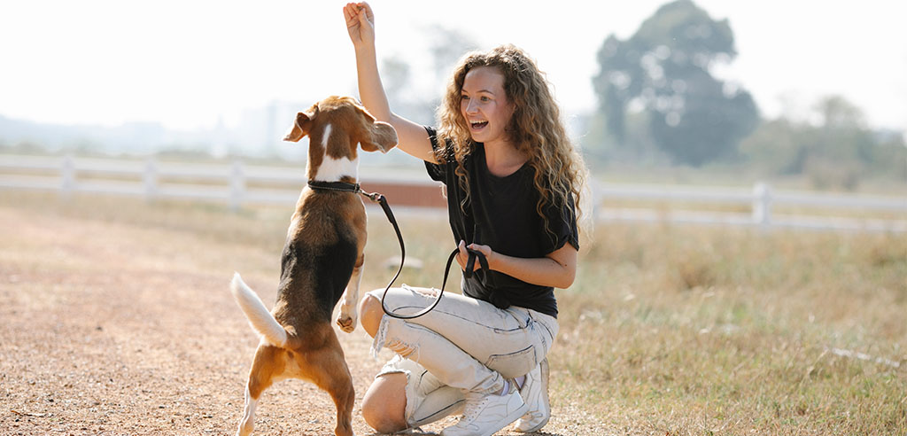 a dog trainer trains a dog