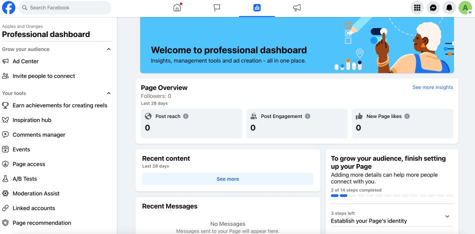 Screenshot of a Facebook business page’s professional dashboard.