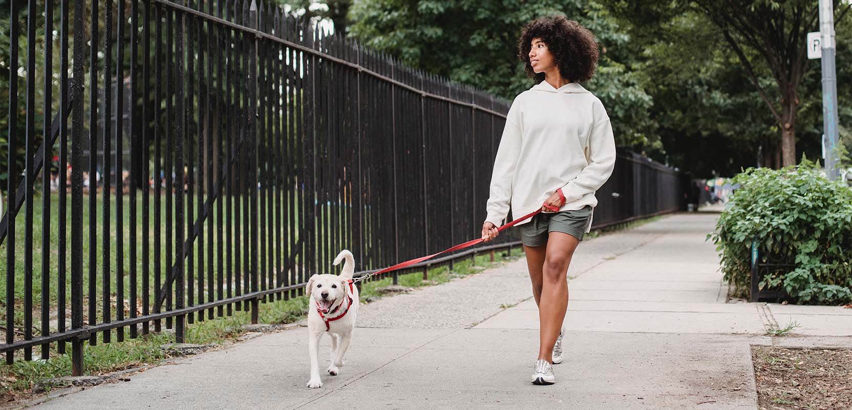 How much do dog walkers make?