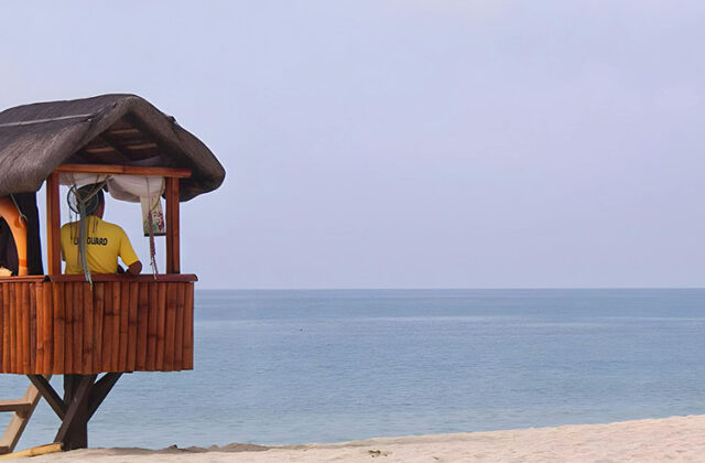 Professional lifeguard sitting at their post on a beach and monitoring the waters