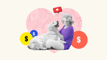 Pet sitter playing with dog