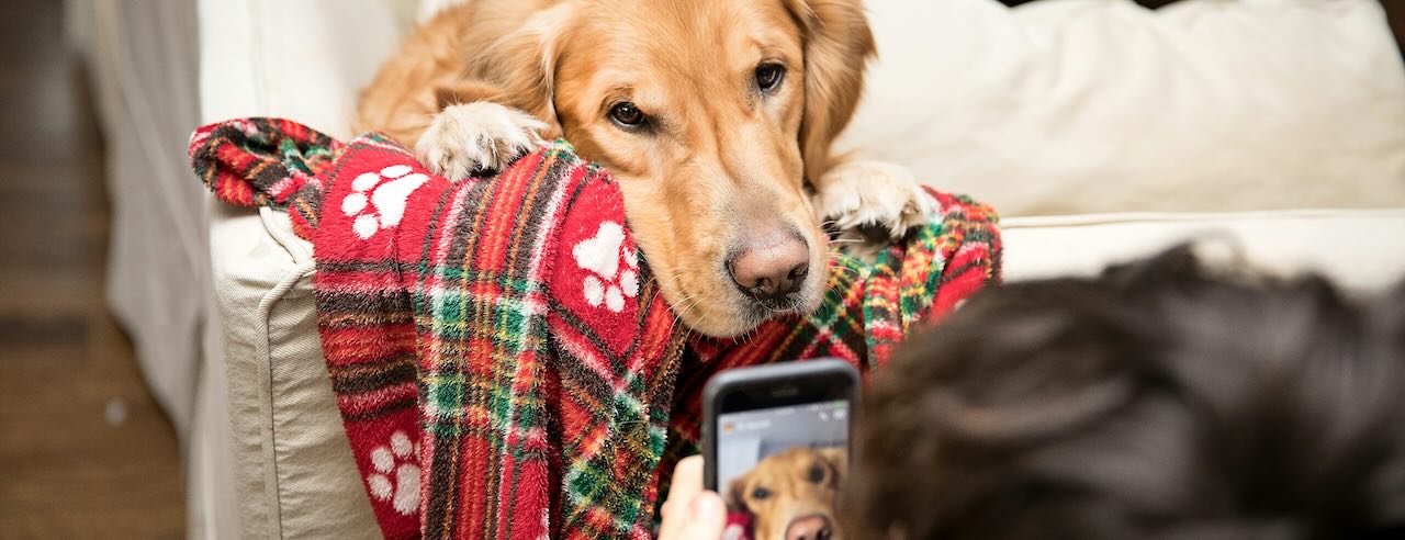 Image of a man taking a photo of his dog.