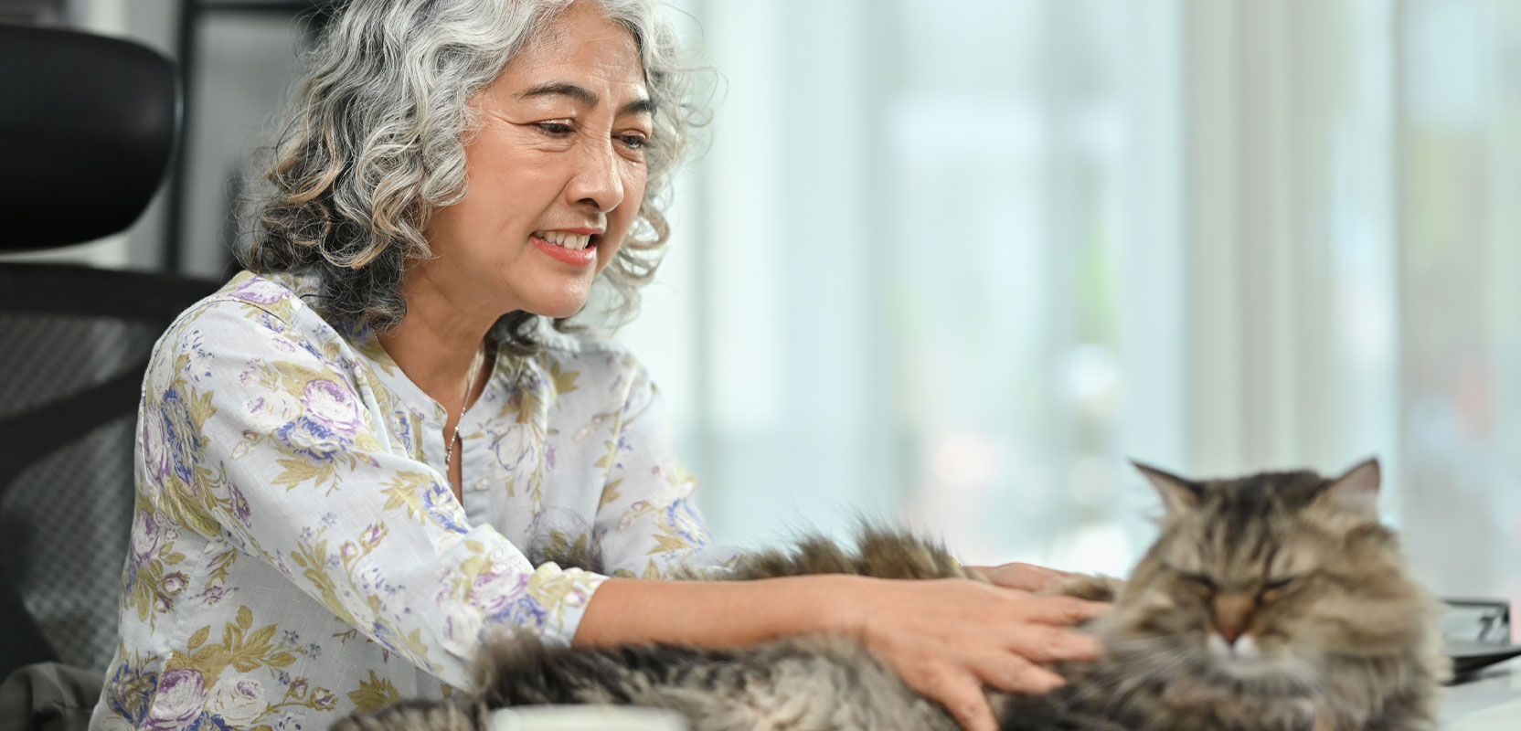 Older woman petting a long-haired cat