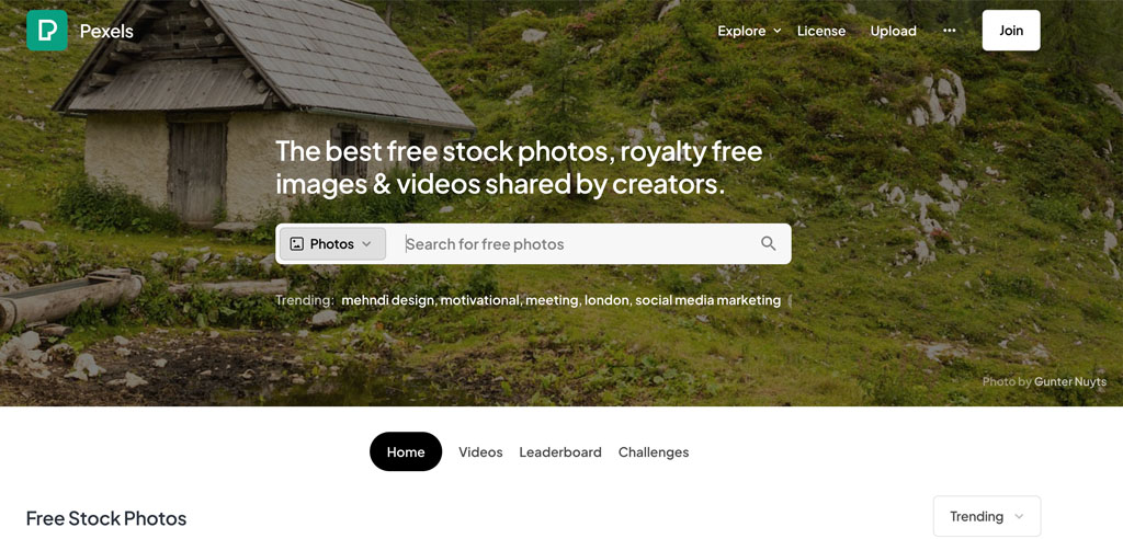 pexels for free stock photos