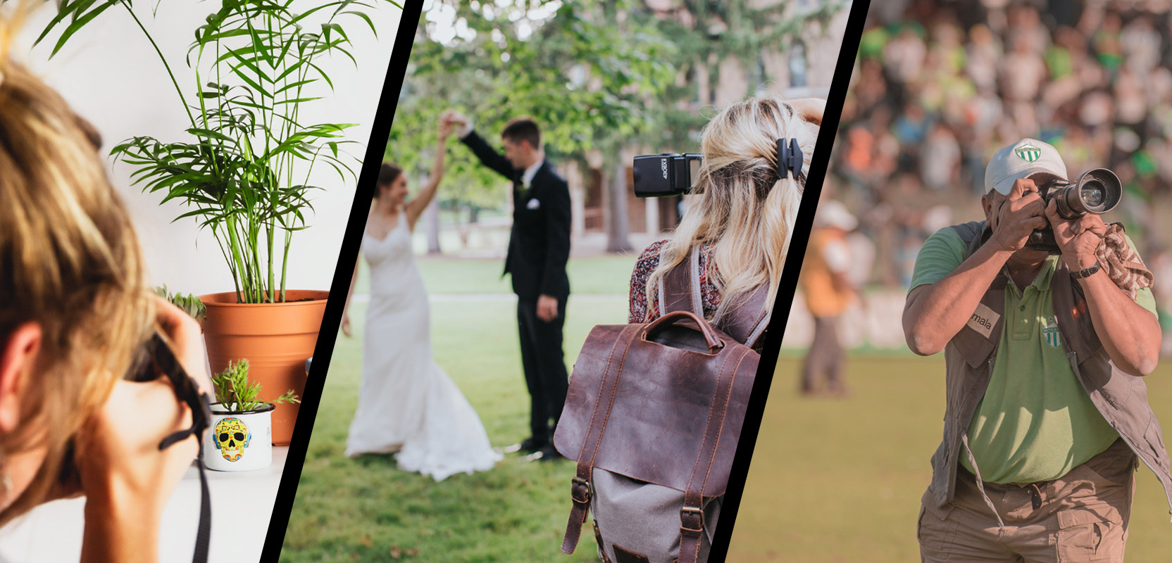 Three shots showing freelancers photographing a potted plant, a wedding, and a sports game 