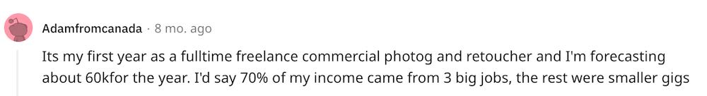 Reddit screenshot of a first-year photographer discussing their income