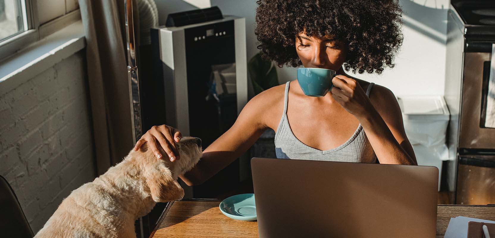 Work From Home 15 Remote Jobs You Can Land with No Experience