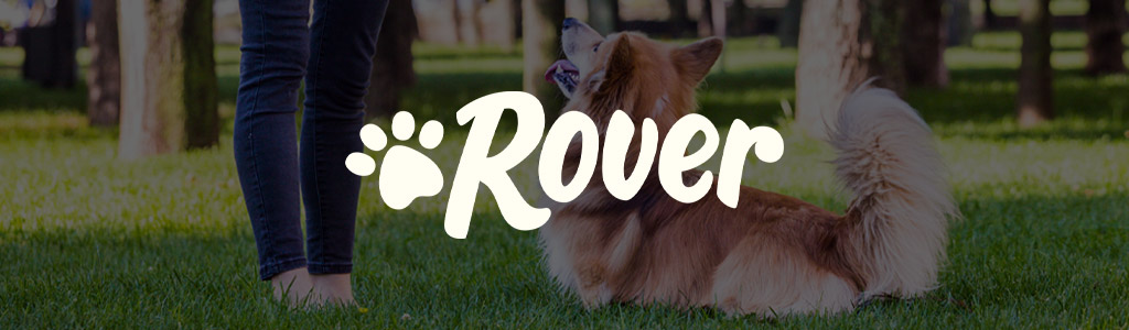 Rover logo against a darkened background showing someone with a dog at a park