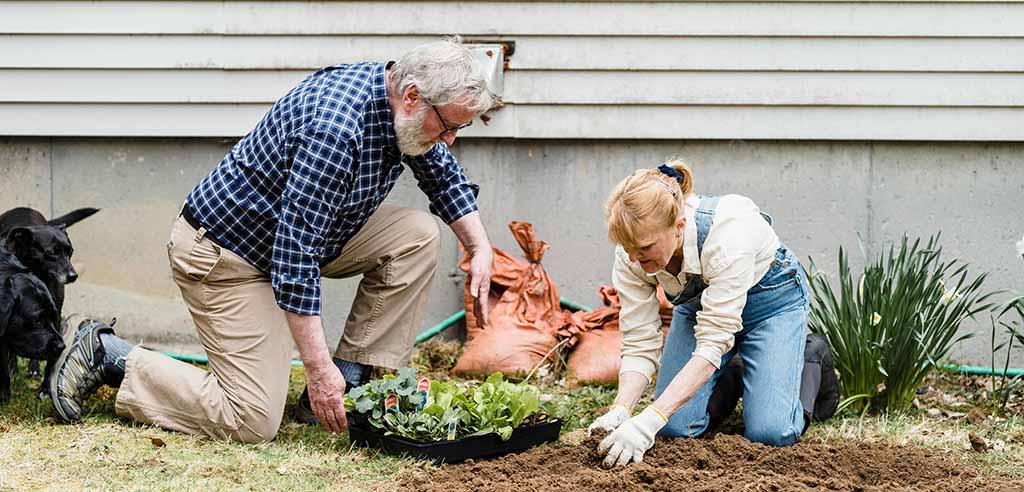 sell compost