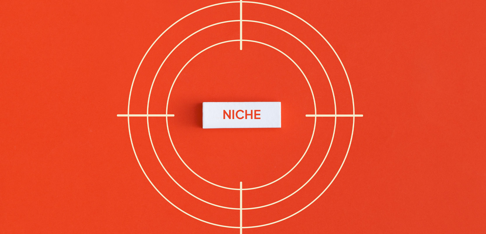 White target on an orange background with the word Niche in the center