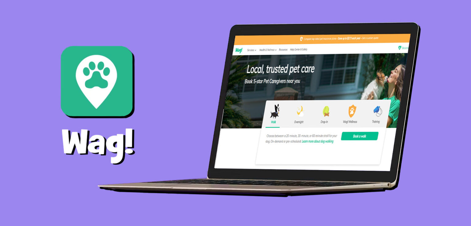 walking-dogs-for-money-10-apps-for-dog-walkers