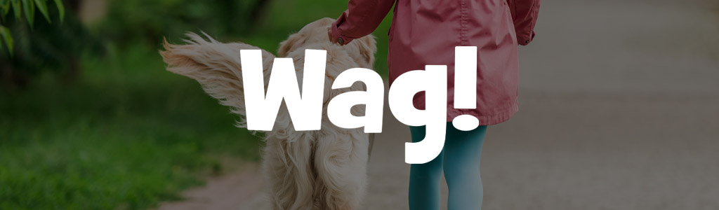 Wag! logo against a background showing someone walking a large dog in a park