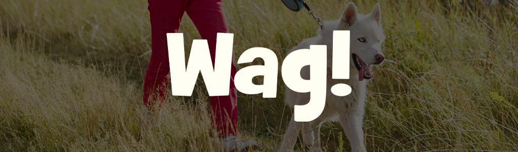 Wag! logo against a darkened background showing someone walking a dog on a grassy field