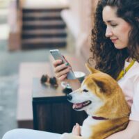 Pet care provider sitting on a bench holding a shiba inu dog and scrolling on a pet care job app