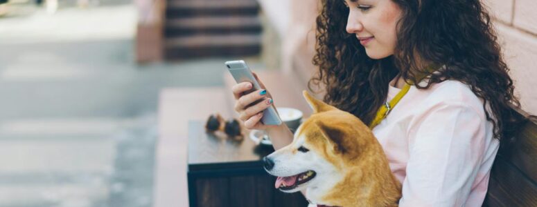 Pet care provider sitting on a bench holding a shiba inu dog and scrolling on a pet care job app