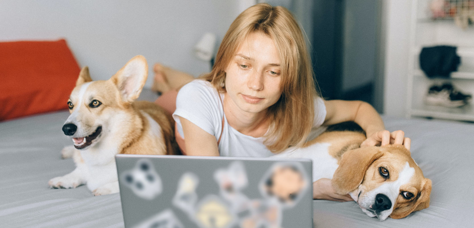 Woman lying on a bed between two dogs, looking at a laptop